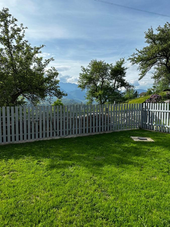 Villa Prater House Mountain View Moieciu de Jos Exterior foto