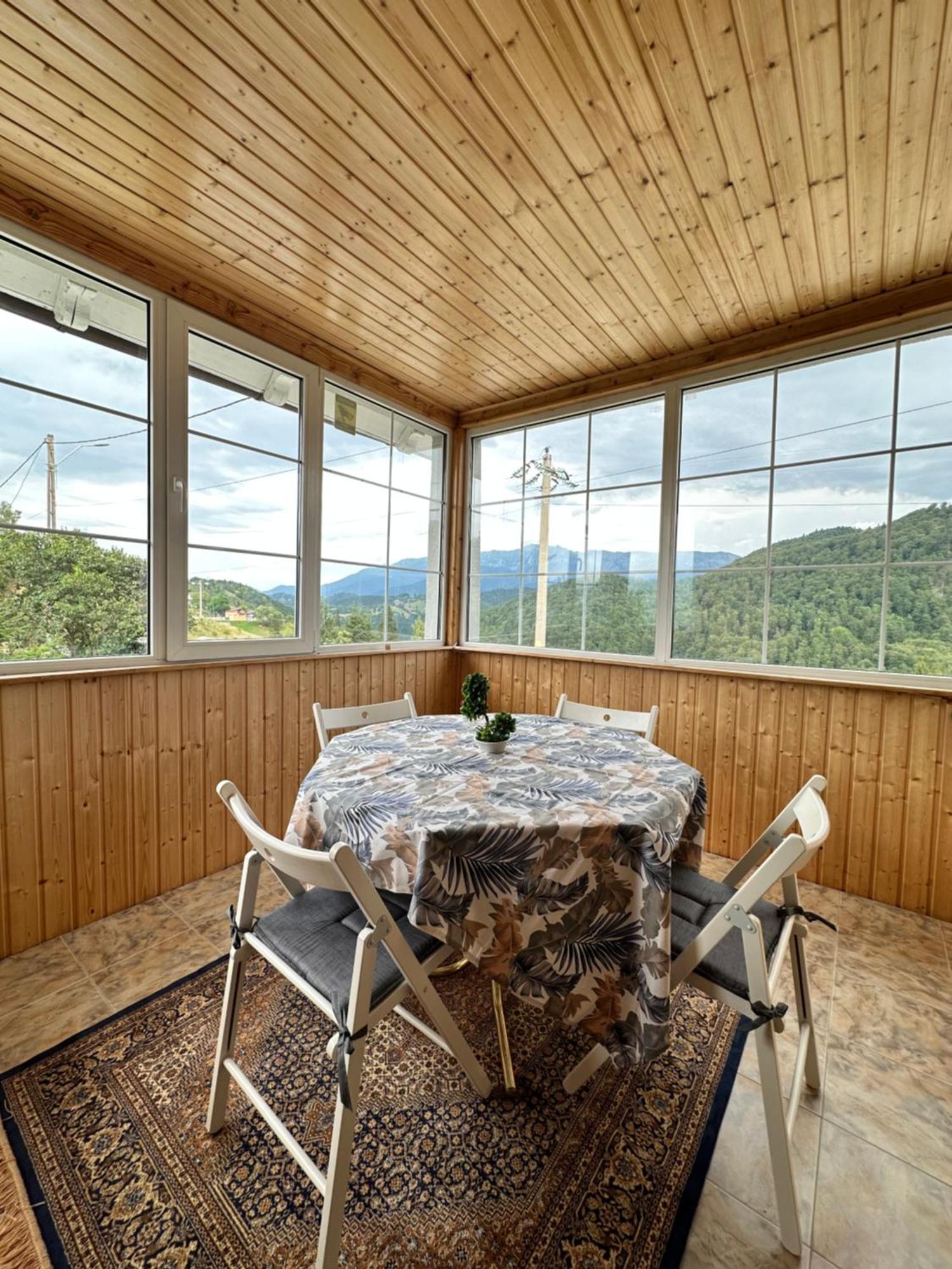 Villa Prater House Mountain View Moieciu de Jos Exterior foto